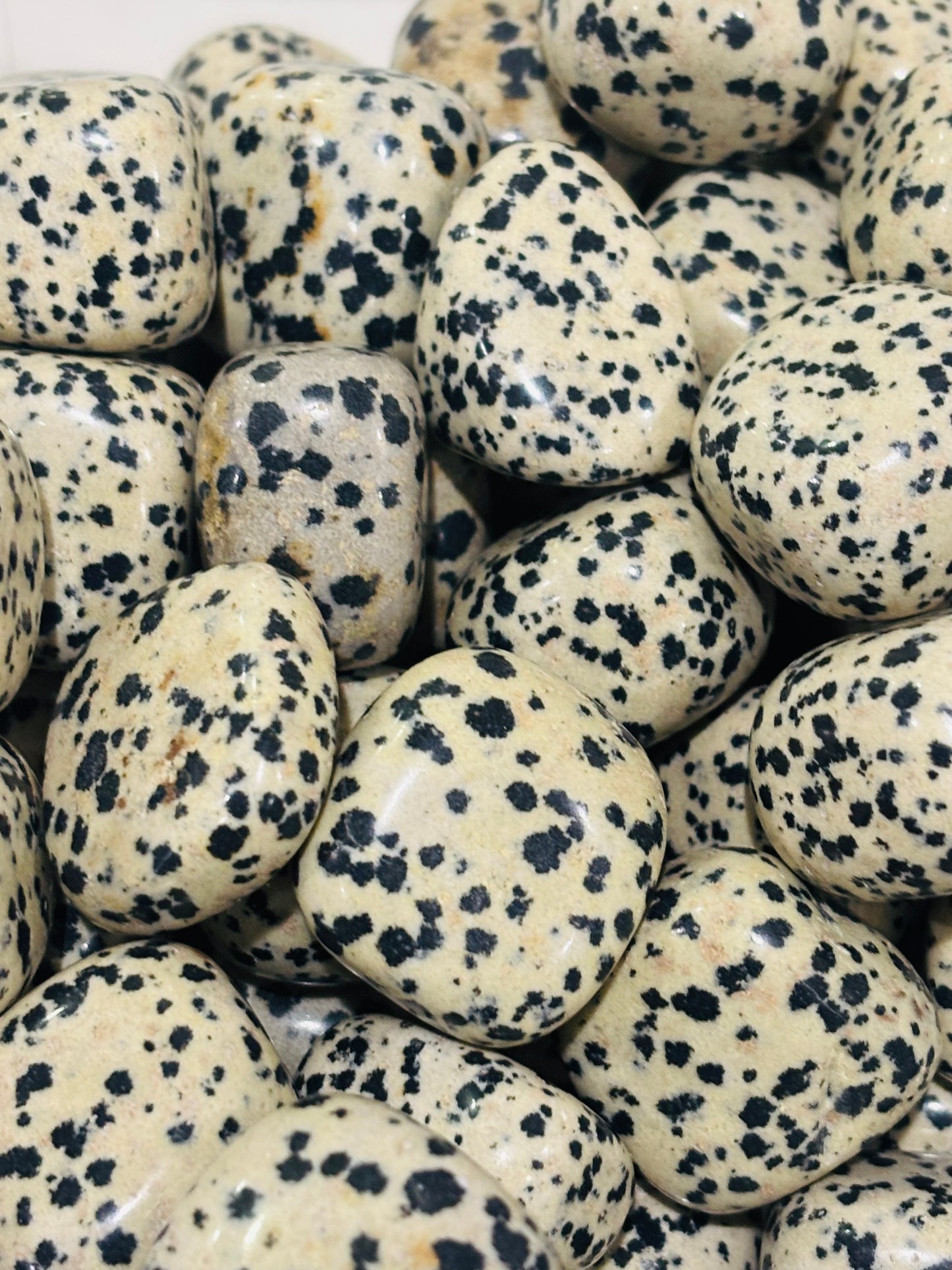 Dalmatian Jasper Tumble
