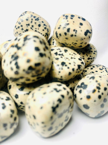 Dalmatian Jasper Tumble