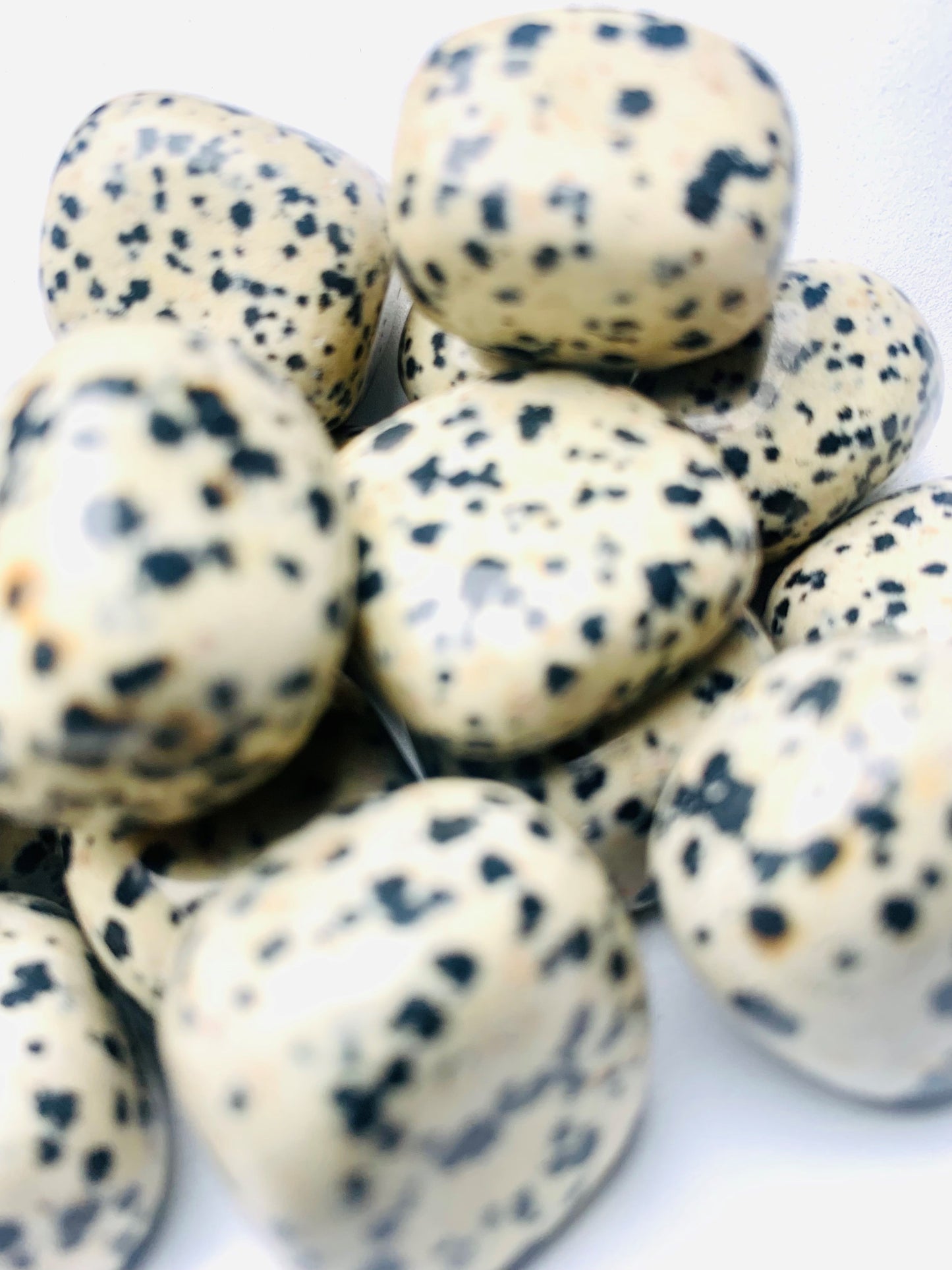 Dalmatian Jasper Tumble