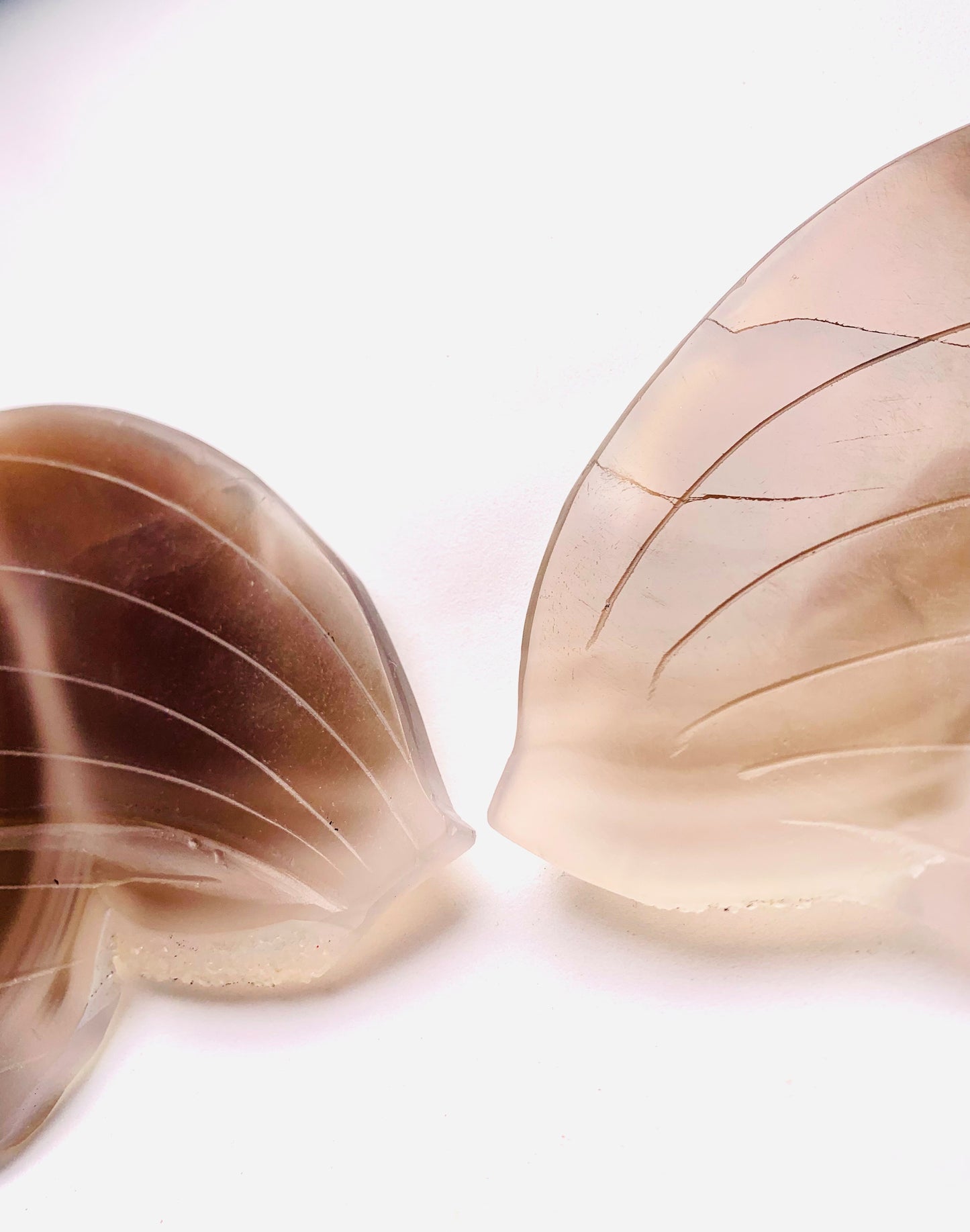 Druzy Agate Butterfly Wings with Stand