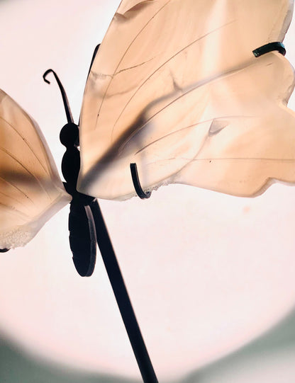 Druzy Agate Butterfly Wings with Stand