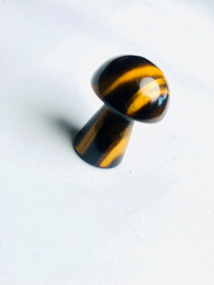 Tigers Eye Mushroom