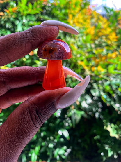 Carnelian Mushroom